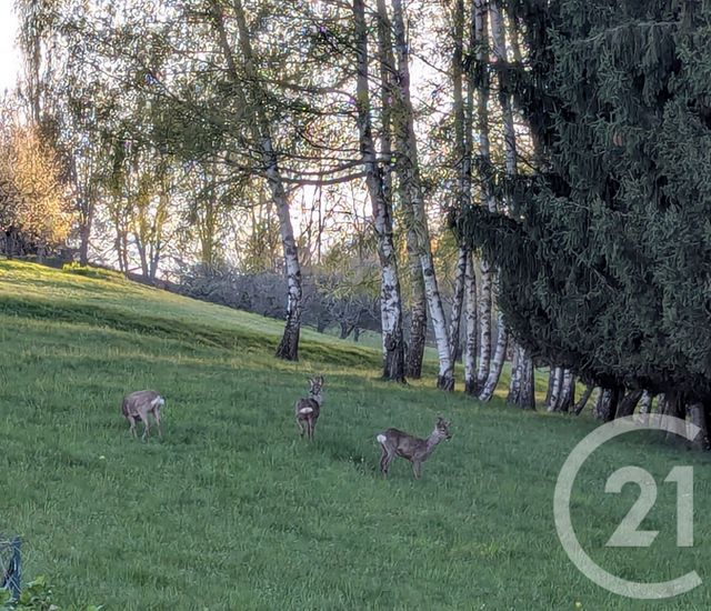 Maison à vendre - 6 pièces - 185 m2 - Arvillard - 73 - RHONE-ALPES