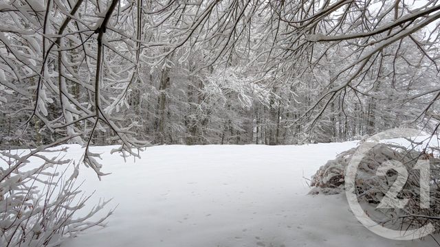 Appartement Duplex &agrave; vendre - 3 pi&egrave;ces - 57,49 m2 - Les Deserts - 73 - RHONE-ALPES